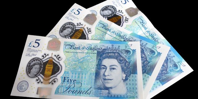 British pound rallies backed by UK services 