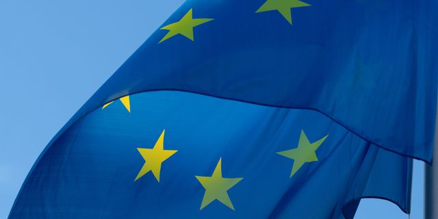French surge will bounce back after protest-powered deceleration 