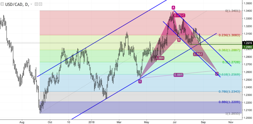 USDCAD daily.png